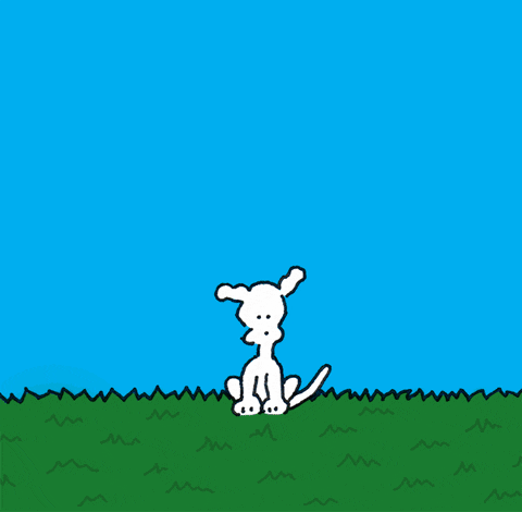 I Love You Night GIF by Chippy the dog