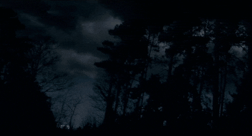 Image result for night shadow gif