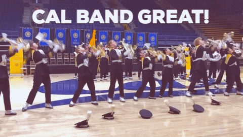 Uc Berkeley California GIF by Cal - Find & Share on GIPHY