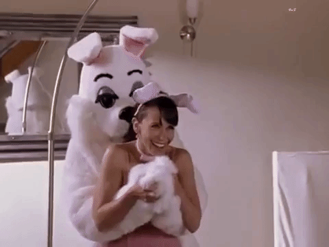 giphy.gif