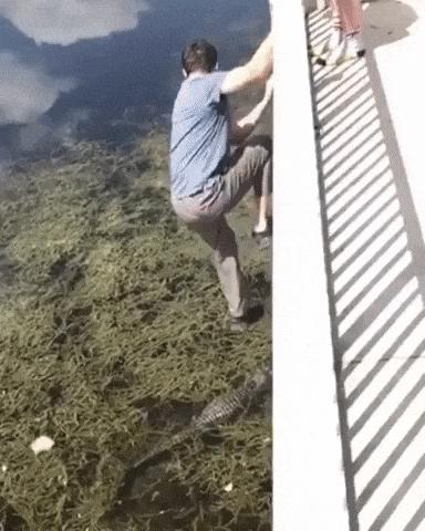 This is why women live longer in funny gifs
