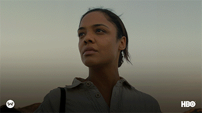 Season 2 Finale GIF by Westworld HBO