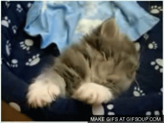 giphy.gif