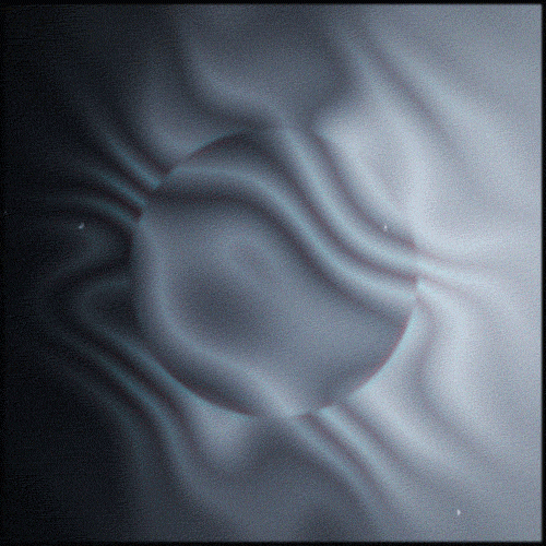 Black And White Wave GIF by Erica Anderson Find & Share on GIPHY