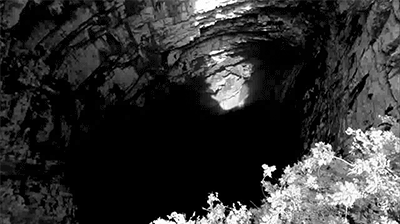 giphy.gif