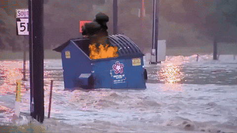 Featured image of post Dumpster Fire Gif Transparent : Export gif's with a transparent background using adobe after effects and photoshop.