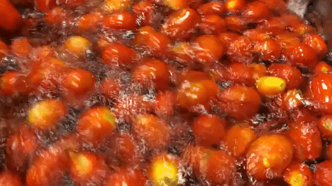 Fruit Tomato GIF by UCDavis - Find & Share on GIPHY