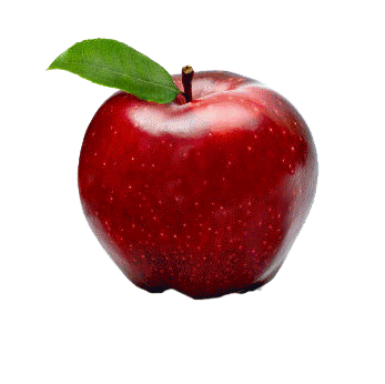 Výsledok vyhľadávania obrázkov pre dopyt apple