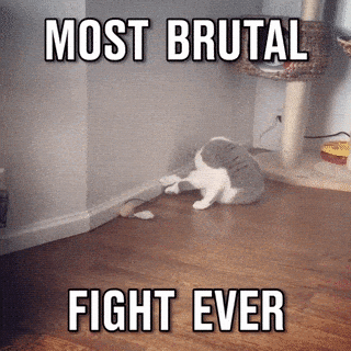 https://media.giphy.com/media/1u3bXcqHBDASA/giphy-downsized.gif