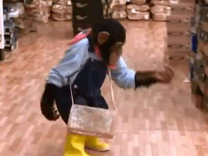 Monkey In Clothes GIFs - Find & Share on GIPHY