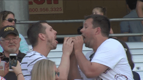 Lady And The Tramp GIF by Kane County Cougars