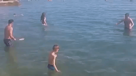 Extreme frisbee in funny gifs