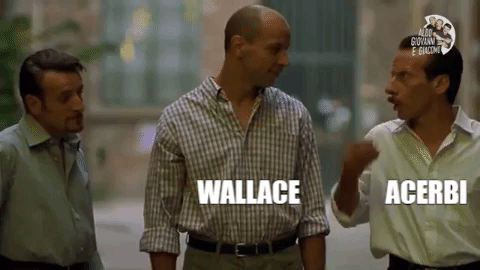 Aldogiovanniegiacomo Acerbi Wallace GIF - Find & Share on GIPHY