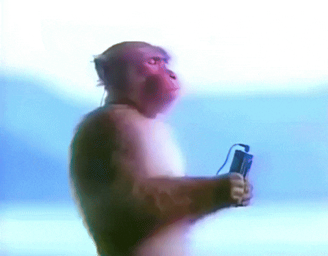 Listening Peacefully Monkey