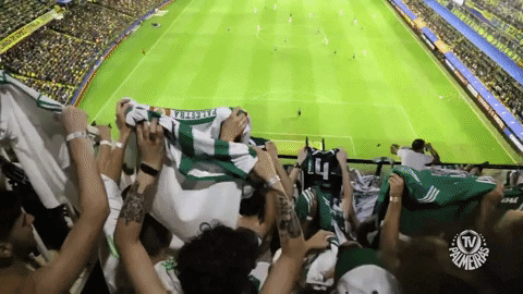 Palmeiras encara Vasco no domingo em busca do título