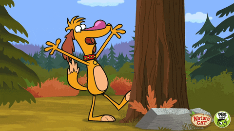 Nature Cat Dog GIF by PBS KIDS