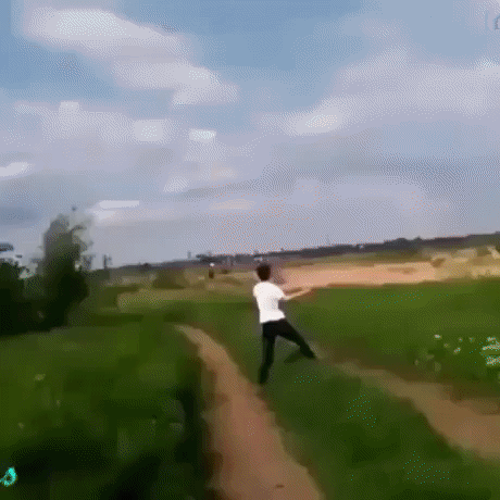 Never mess with power lines in fail gifs