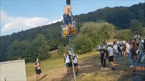 giphy.gif