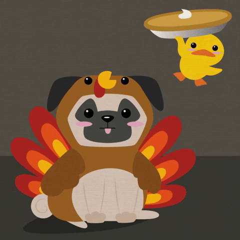 Pumpkin Pie Thanksgiving GIF by evite - Find & Share on GIPHY