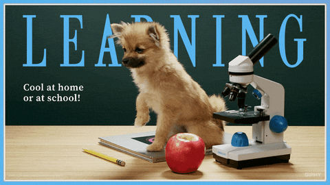 Um cachorrinho erguendo a patinha, cercado de um caderno, um microscópio e uma maçã, com os dizeres: "Learning, cool at home or at school!"