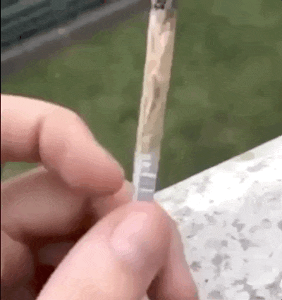 15 невероятных случаев, которые надо увидеть своими глазами, чтобы в них поверить