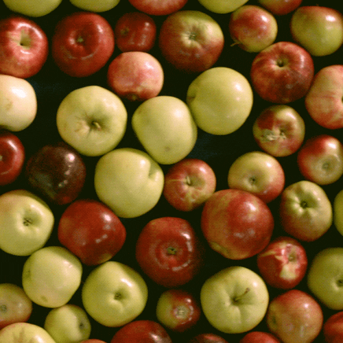 apples party game