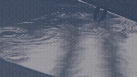 turn live photo to gif loop vs bounce turn live photo to gif loop vs bounce
