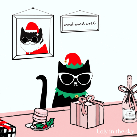 Pakete-Katzi