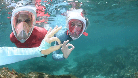 Snorkeling Entrezdansladanse GIF by Decathlon - Find & Share on GIPHY