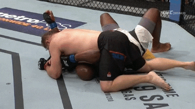 Derrick Lewis pushes away Roy Nelson