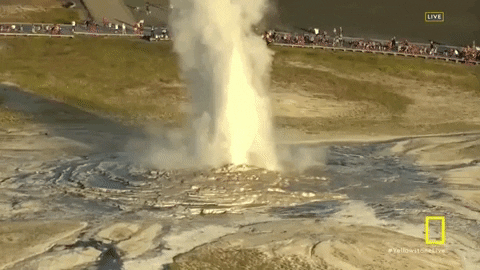 Yellowstone GIF by National Geographic Channel - Find & Share on GIPHY