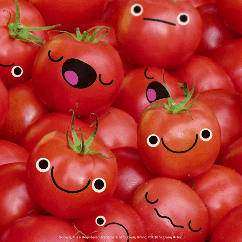 voor- en nadelen tomaten