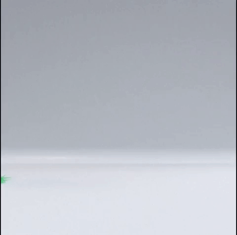 GIF by Esteban Diácono