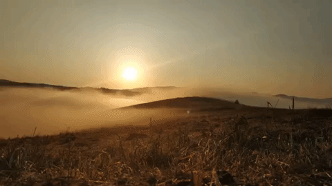 Sunrise Mist GIF - Find & Share on GIPHY