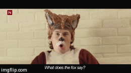 What Does The Fox Say GIF - Find & Share on GIPHY