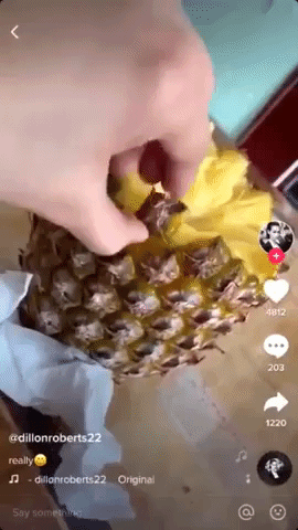 How to eat pineapples in funny gifs
