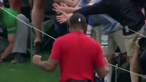 Tiger Woods Sport Gif By Sports GIF
