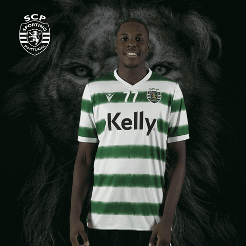 Andebol GIF by Sporting CP