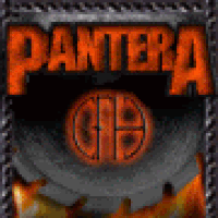 Pantera GIFs - Find & Share on GIPHY