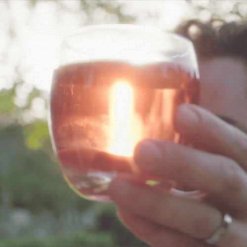 Apple Cider Rose GIF by Angry Orchard - Find & Share on GIPHY