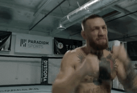 Conor Mcgregor Sport GIF by UFC - Find & Share on GIPHY