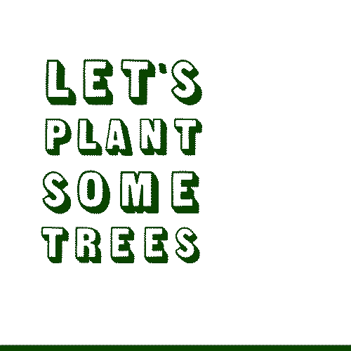 Planta crescendo