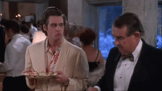 https://media.giphy.com/media/24BmlMaseYyXK/giphy.gif