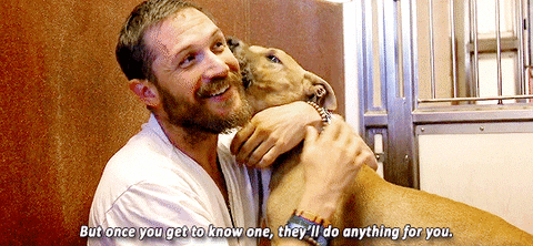 Tom Hardy is super intense about the things that matter most to him