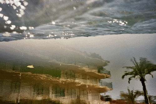 35Mm GIF by Blanca Viñas