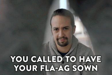 Comedy Central Flag GIF by Inside Amy Schumer