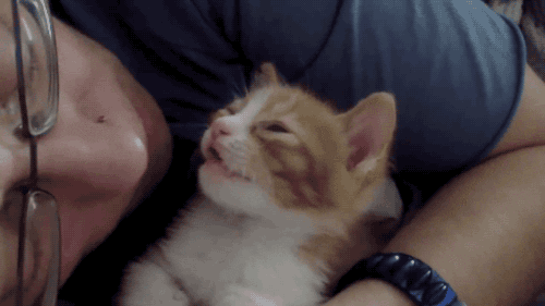 ���� ���� ������ �� ���� ������