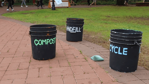 3 bins with landfill, recycle and compost written on them. 