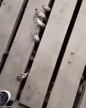 Creepy Hands GIF - Find & Share on GIPHY