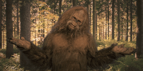 Bigfoot A Hoax Or Hairy Possibility South Coast Herald